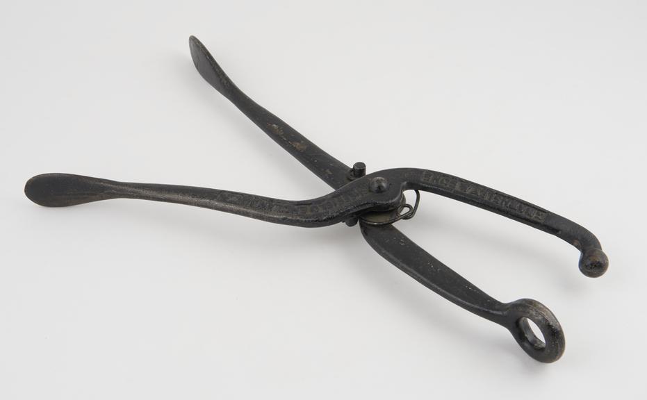 Bunion press