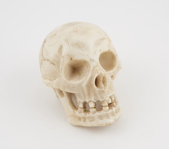 Marble skull