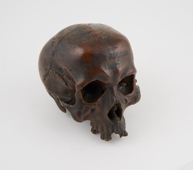 Wooden representation of human skull, no mandible