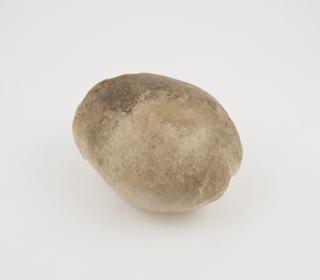 Plaster cast of human brain