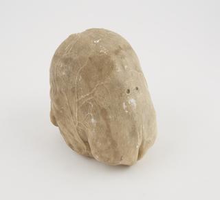 Plaster cast of human brain
