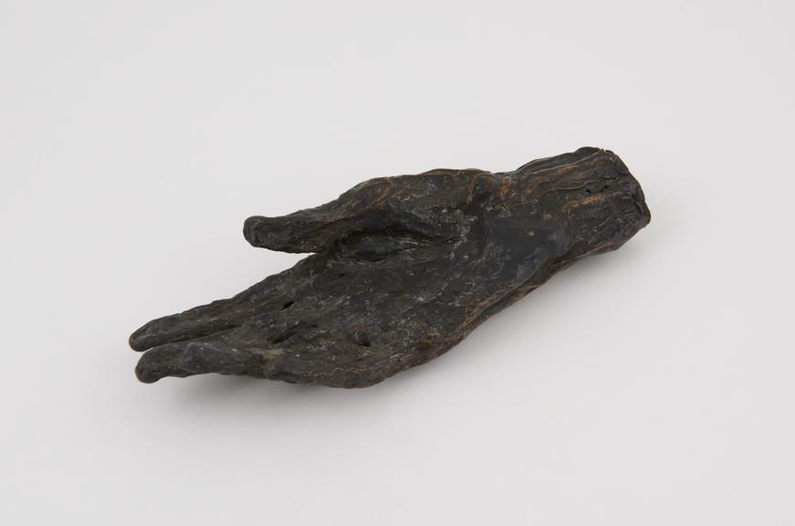 Wax model of a mummified hand, English, 1900-1931