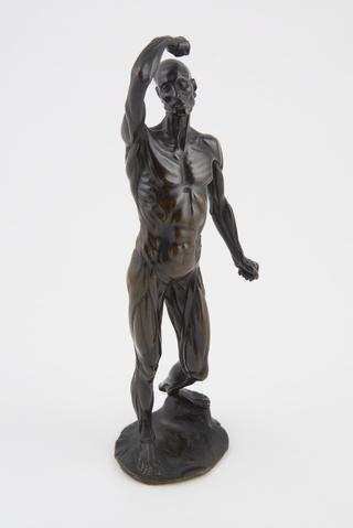 Bronze male anatomical figure, 1750-1800
