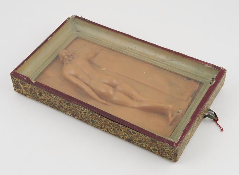 Wax plaque in wooden frame showing rear view of naked