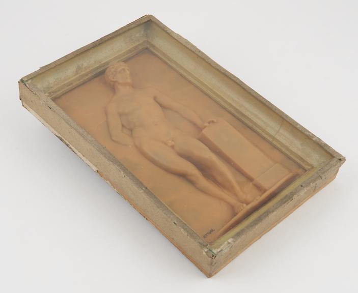 Wax plaque in wooden frame showing front view of naked