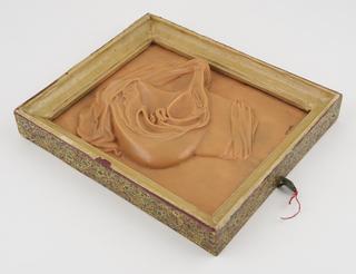 Wax plaque of female internal genitalia