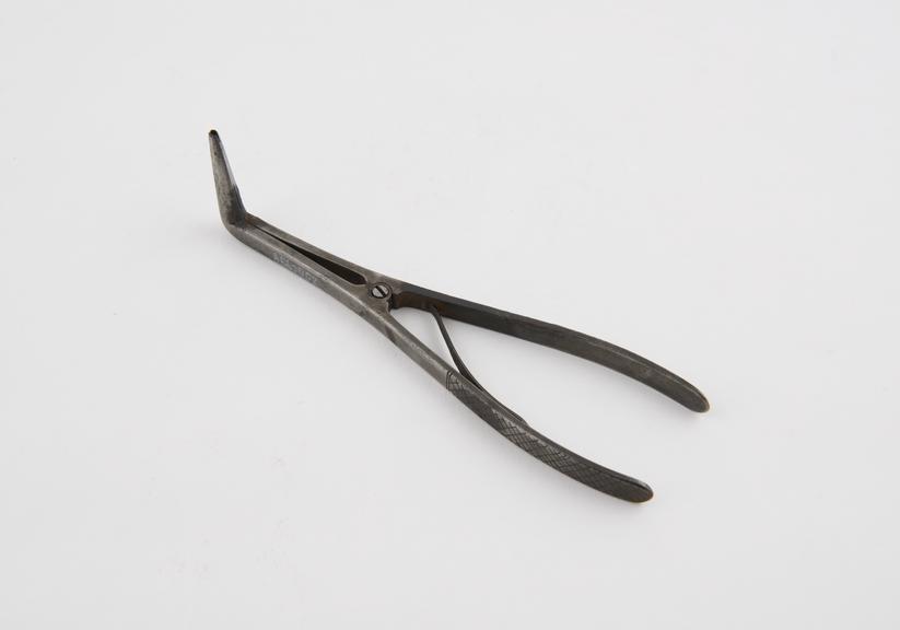 Nasal speculum, dilating, steel, European, 1801-1900