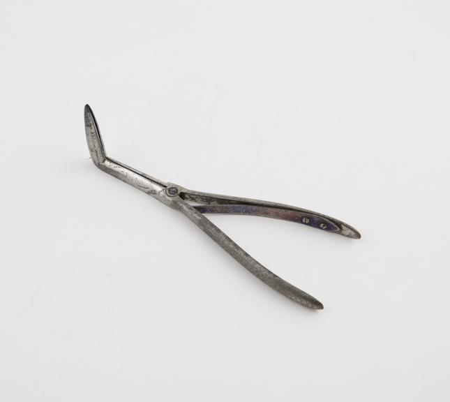 Nasal speculum, dilating, steel, European, 1850-1900