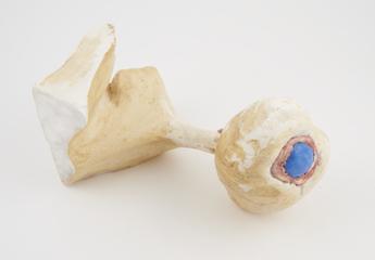 Plaster embryological model of an eye