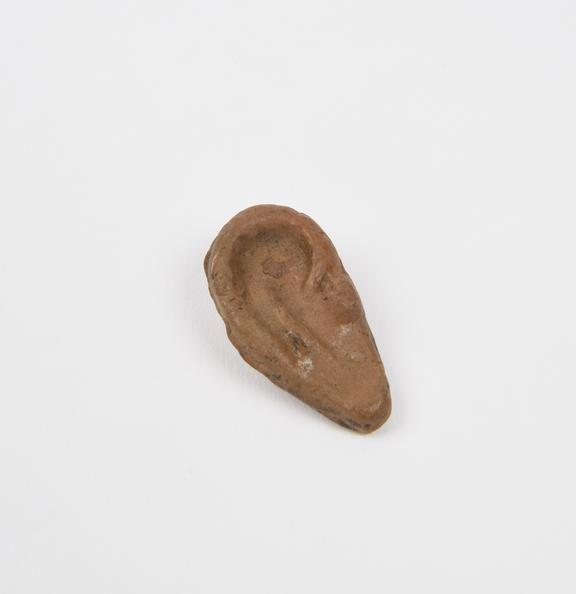 Votive right ear, terracotta, Etrusco-Roman, 200 BC to 200 AD