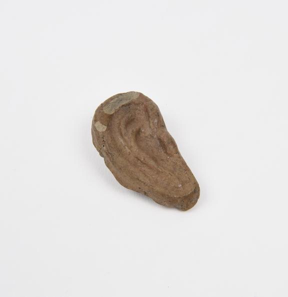 Votive right ear, terracotta, probably Roman, 200 BC to 200 AD