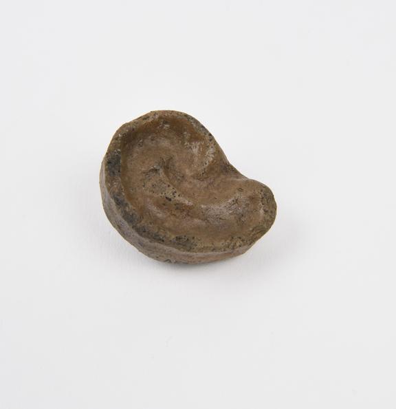 Votive right ear, terracotta, probably Roman, 200 BC to 200 AD