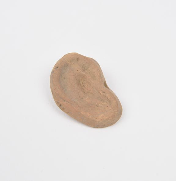 Votive right ear, terracotta, probably Roman, 200BC-200AD