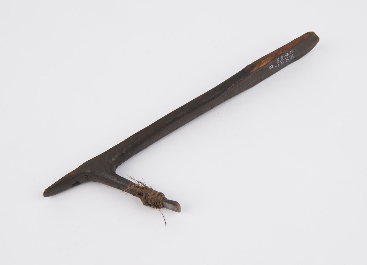 Shell blade lashed to a wooden heft | Science Museum Group Collection