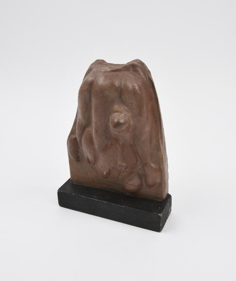 Cast of votive viscera, plaster, probably English, 1900-1939