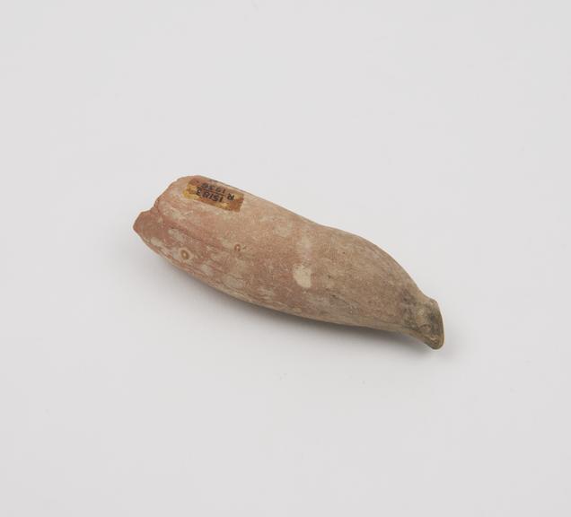 Votive male genitalia, scrotum missing, terracotta