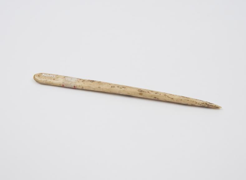 Probe(?), bone, Schleicher Collection