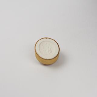 Plaster impression from a seal