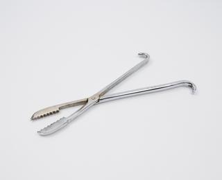 Replica of obstetrical forceps