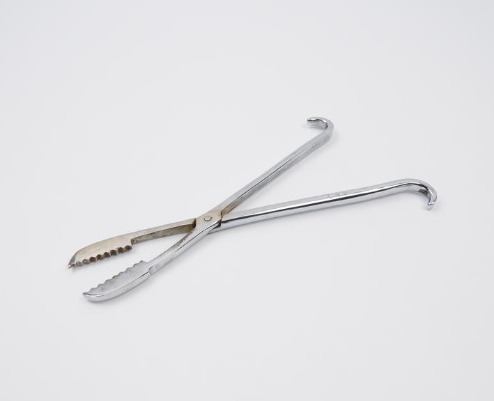 Replica of obstetrical forceps