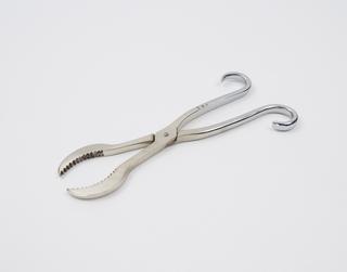 Replica of obstetrical forceps