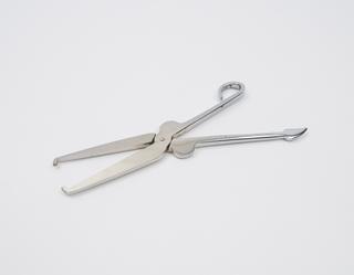 Replica of dental forceps