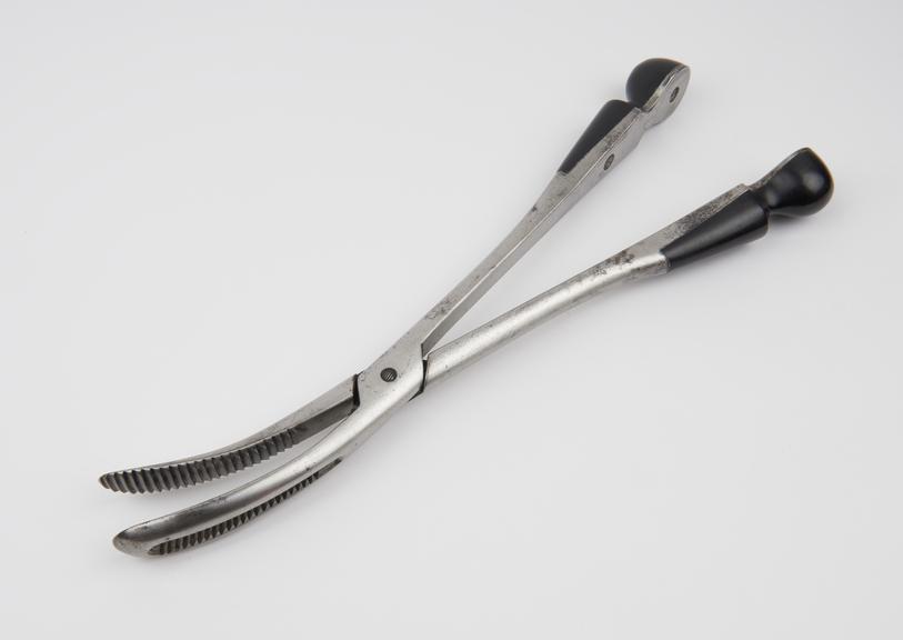 Forceps, craniotomy, Murphy's, steel and wood, by J. W