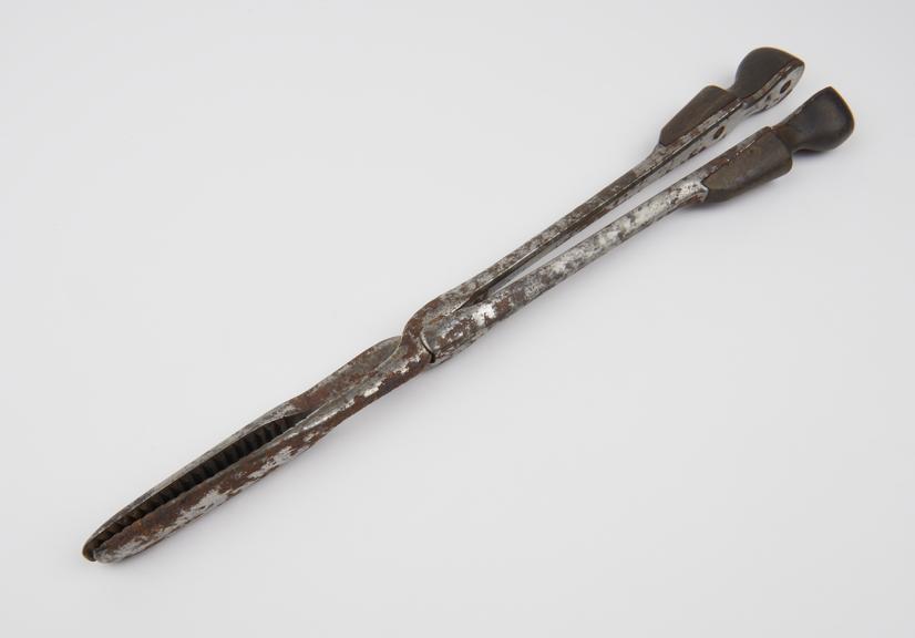 Lee's craniotomy forceps, steel, corroded, made by Weiss