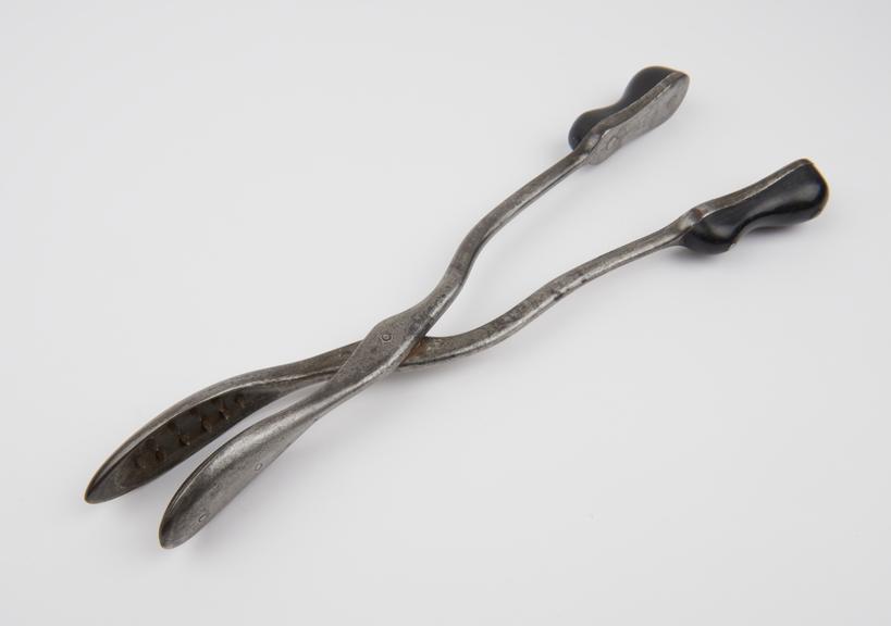 Forceps, craniotomy