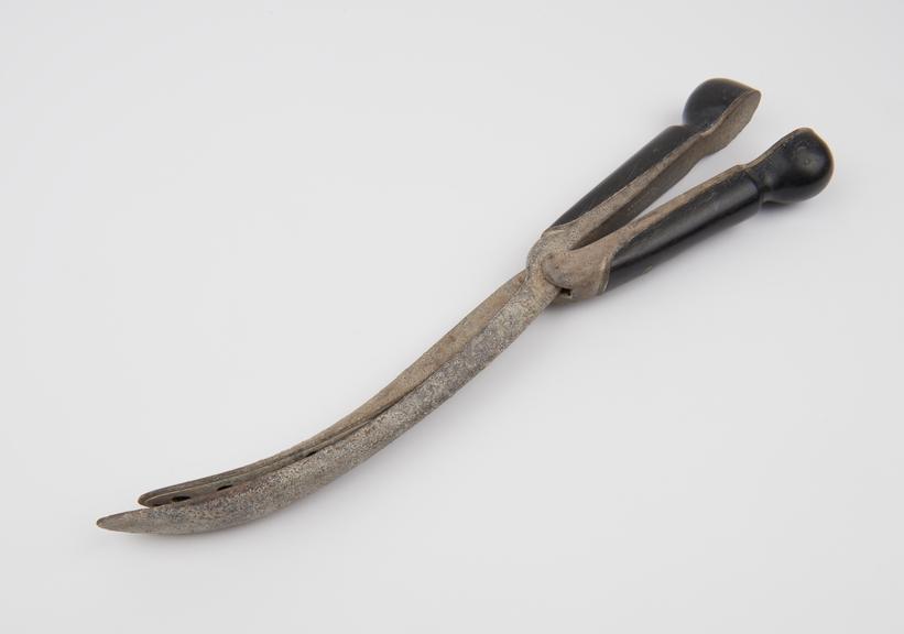 Forceps, craniotomy, steel and wood, Davis type, by Botschan