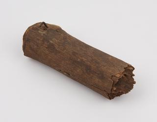 Branch, part of medicine man's equipment