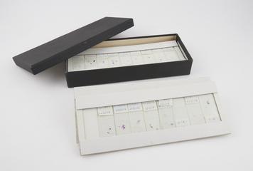 Box of microscope slides mounted for rodent anatomical specimens