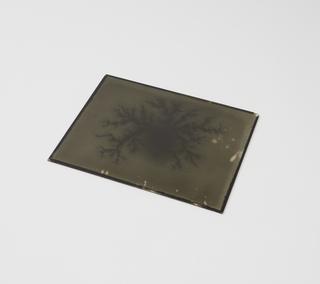 Photographic negative of electrical discharge