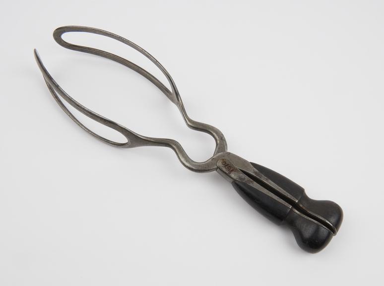 Forceps, obstetrical, Greenhalgh, straight, steel and ebony