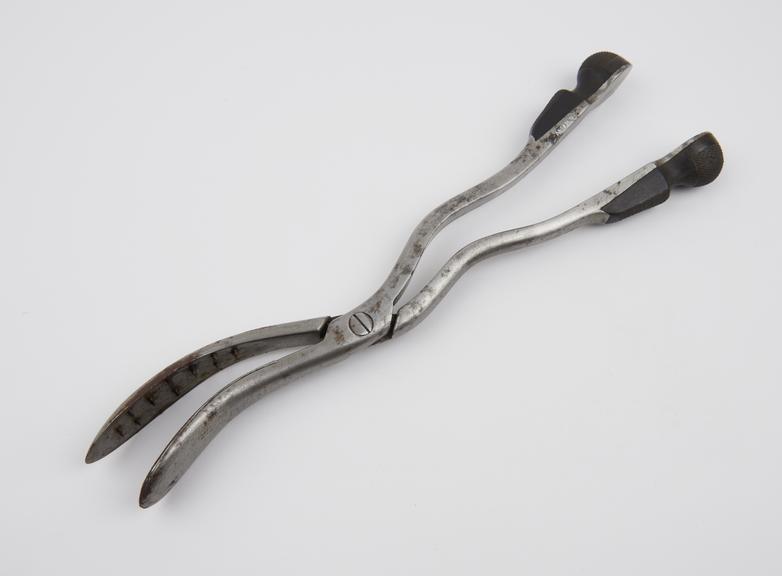 Craniotomy forceps, steel and ebony, Conquest's