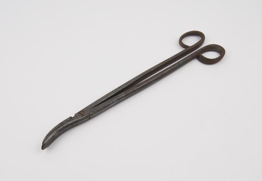 Osteotome, steel, probably English, 1810-1870