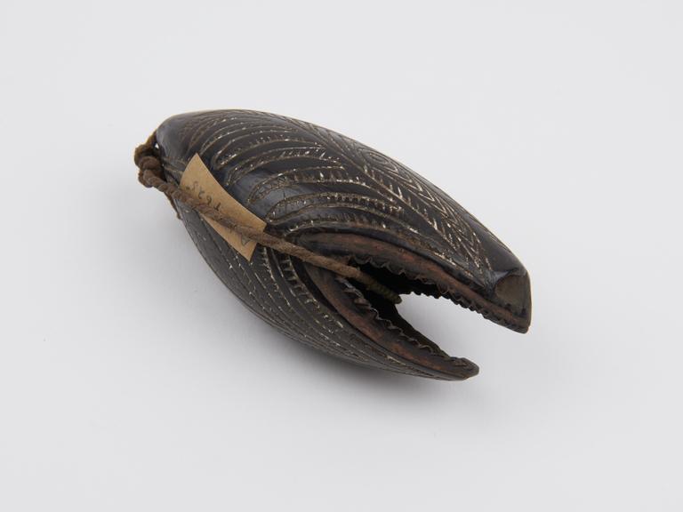 Amulet consisting of black polished nut with zoomorphic carving