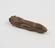 Carved bone(?) amulet