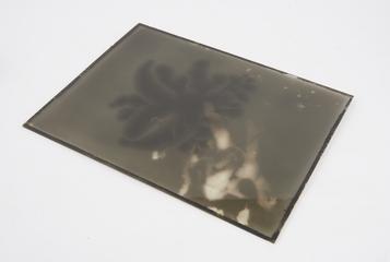 Negative of discharge from 10" induction coil