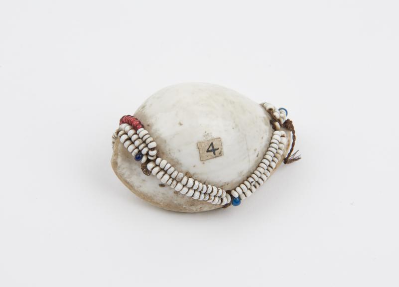 Shell, with red white and blue decorative beads