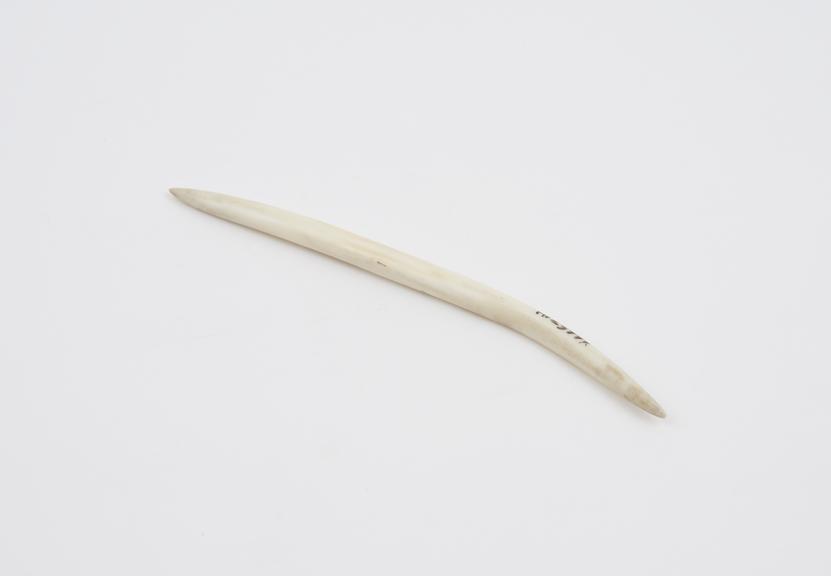 Nose pin, carved from shell(?), tapering ends