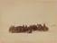 Approximately 100 photographs of the Arctic Expedition of 1875-6 under Capt. Nares