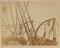 Approximately 100 photographs of the Arctic Expedition of 1875-6 under Capt. Nares