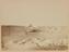 Approximately 100 photographs of the Arctic Expedition of 1875-6 under Capt. Nares