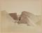 Approximately 100 photographs of the Arctic Expedition of 1875-6 under Capt. Nares