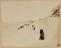 Approximately 100 photographs of the Arctic Expedition of 1875-6 under Capt. Nares