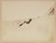 Approximately 100 photographs of the Arctic Expedition of 1875-6 under Capt. Nares
