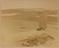 Approximately 100 photographs of the Arctic Expedition of 1875-6 under Capt. Nares