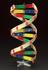 DNA molecular model kit, made by Science Teaching Aids