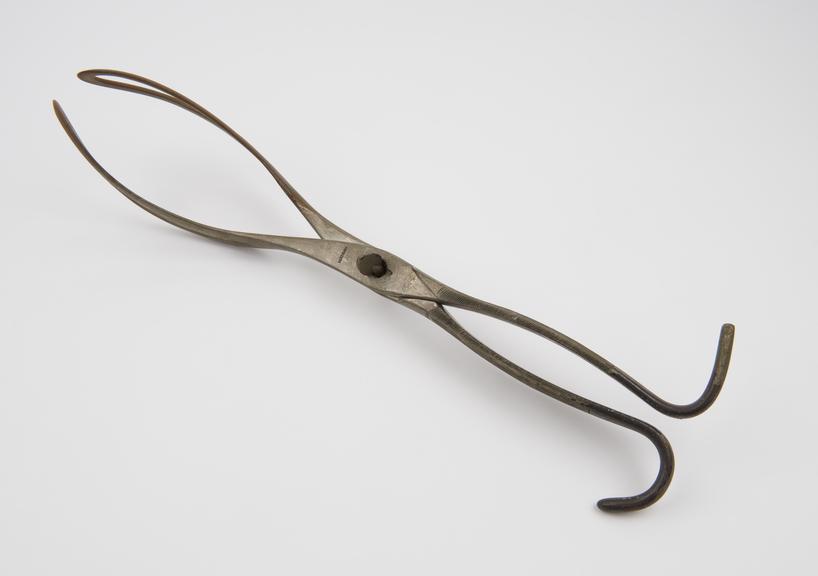 Forceps, obstetrical, Tarsitani, steel, by Bertinara of Turin